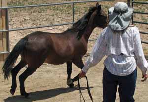Sandy